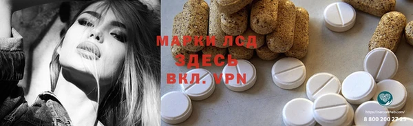 прущие грибы Абдулино