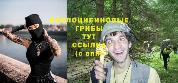 герыч Алзамай