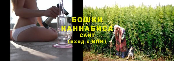 прущие грибы Абдулино
