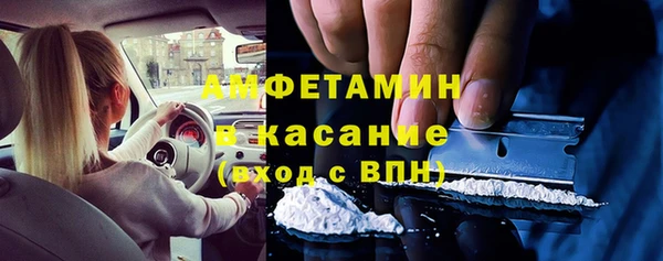 прущие грибы Абдулино